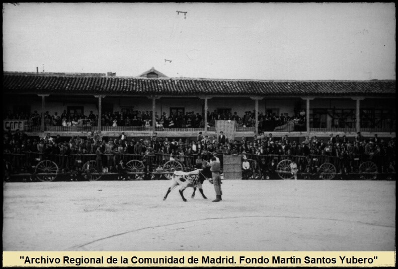 Cayetano Ordóñez Araujo,  Niño de la Palma