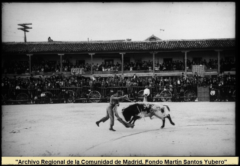 Cayetano Ordóñez Araujo, Niño de la Palma