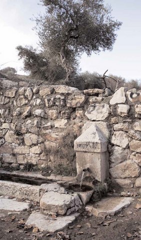 Fuente de la Poza del Moral