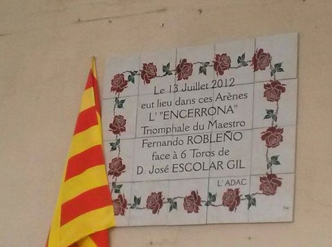 Placa Ceret